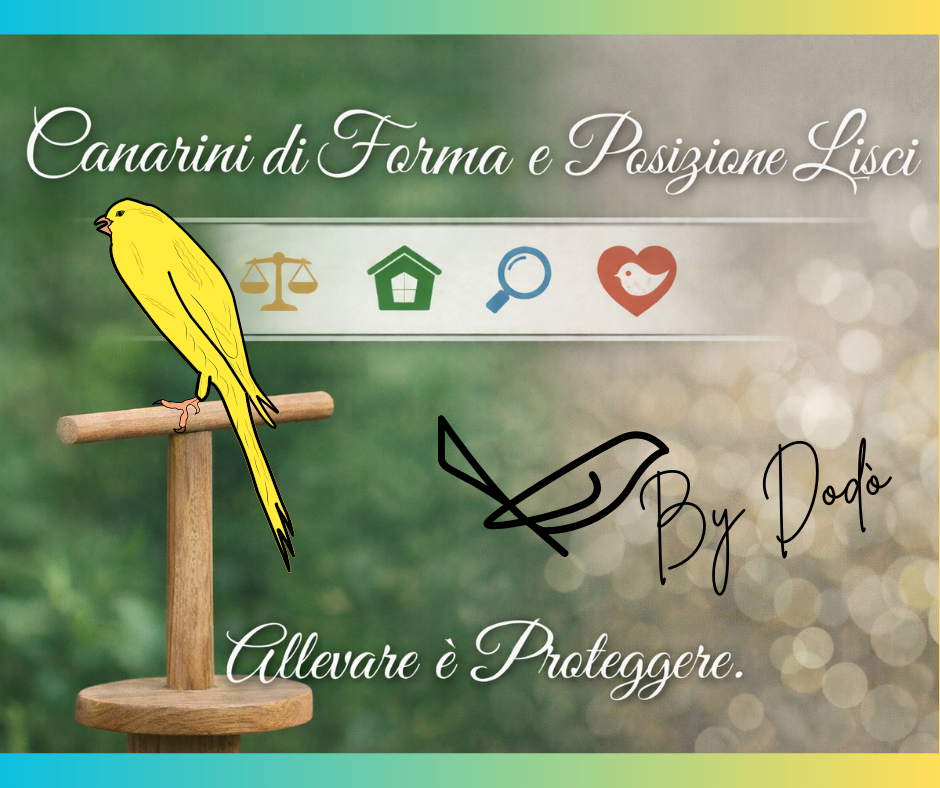 I CANARINI DI FORMA E POSIZIONE LISCI