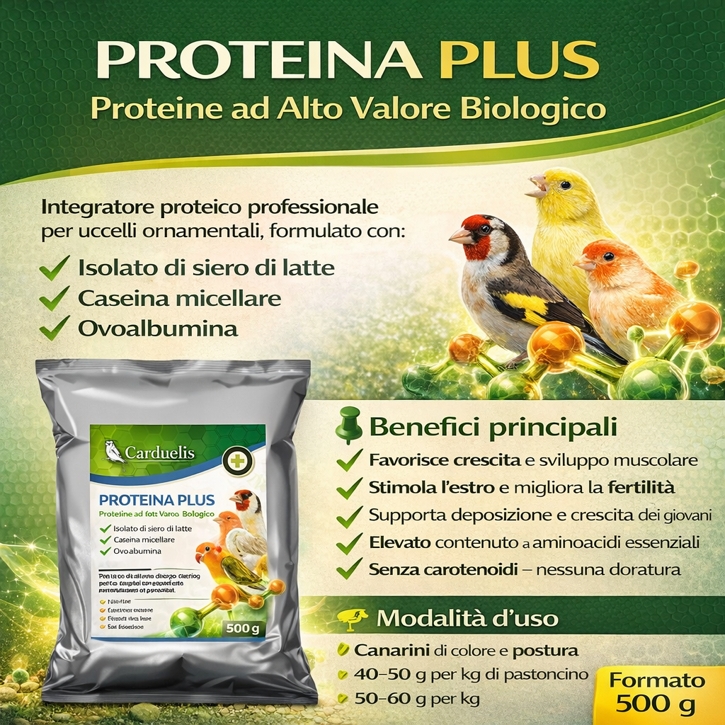 PROTEINA PLUS (500 gr)