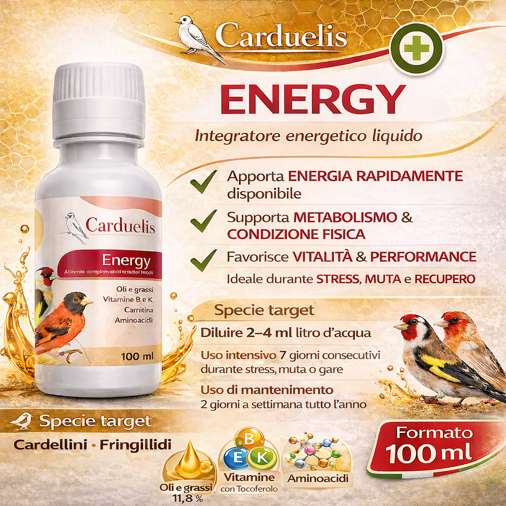 ENERGY (100 ML)
