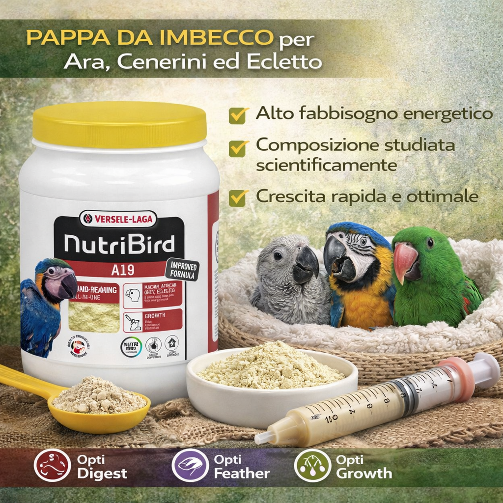 NUTRIBIRD A19 PAPPA DA IMBECCO PER ARA, CENERINI ED ECLETTO (800 Gr)