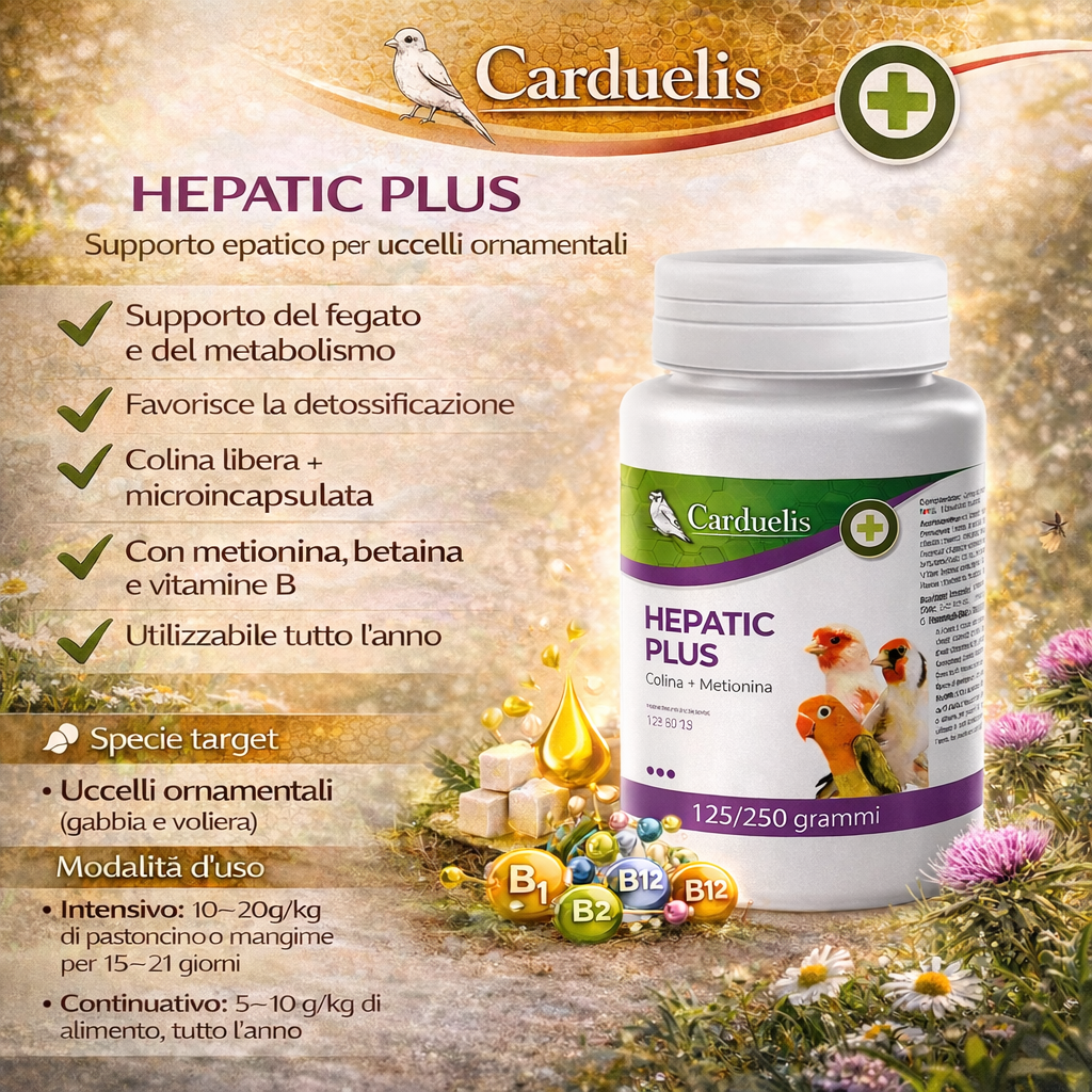 HEPATIC PLUS (500 GRAMMES)