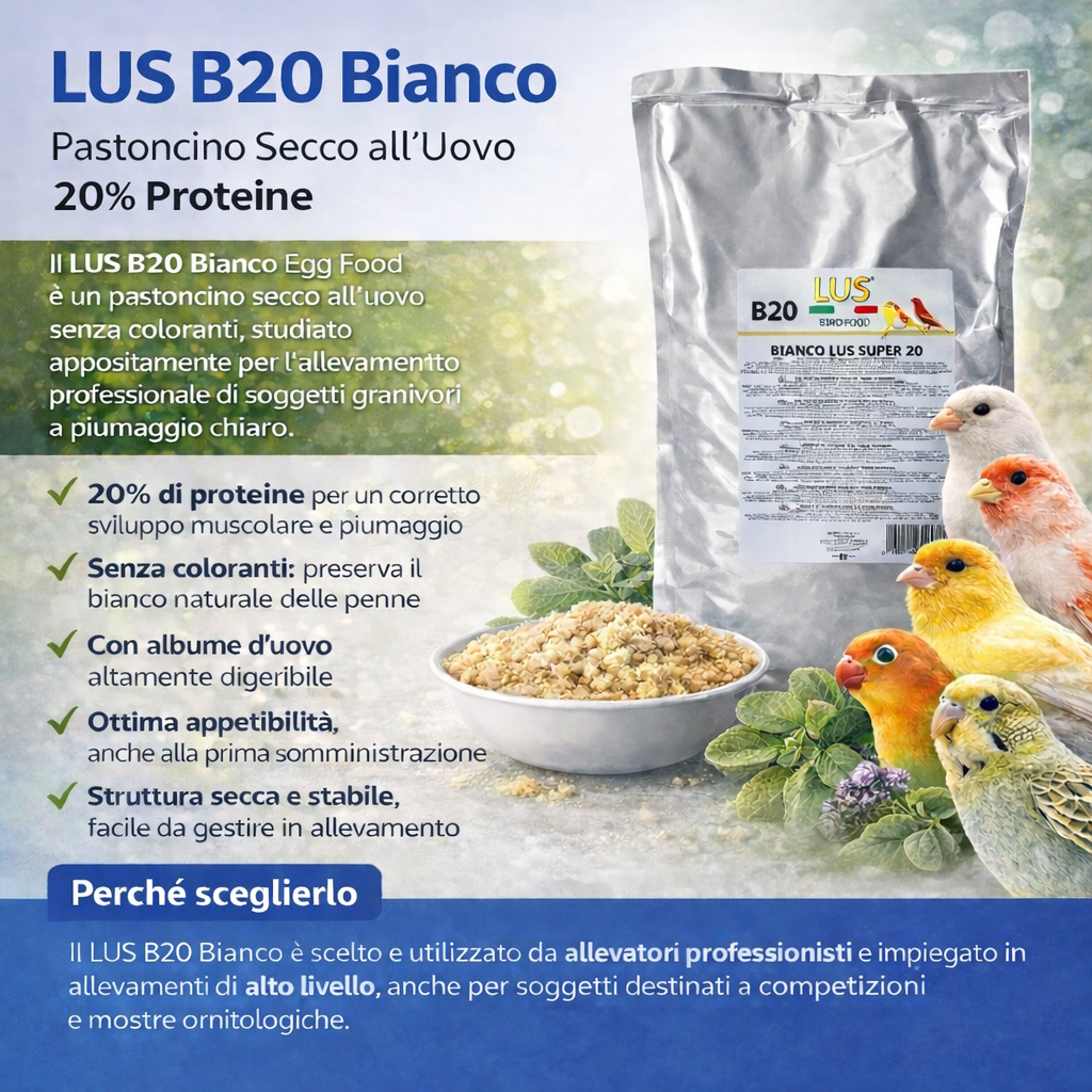 BIANCO LUS B20 SECCO (5KG)