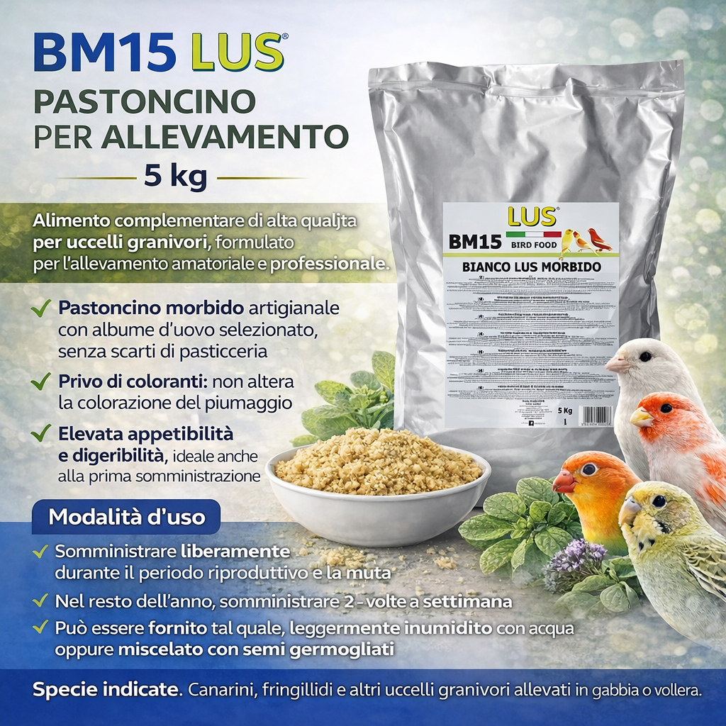 BIANCO LUS BM 15 MORBIDO (5 Kg)