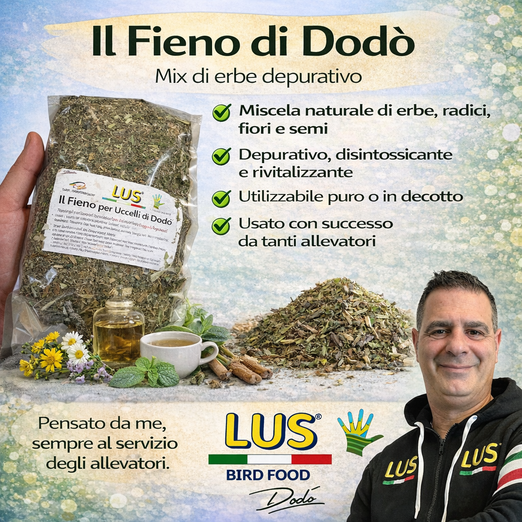 FIENO PER UCCELLI DI DODO' (250/500 GR)