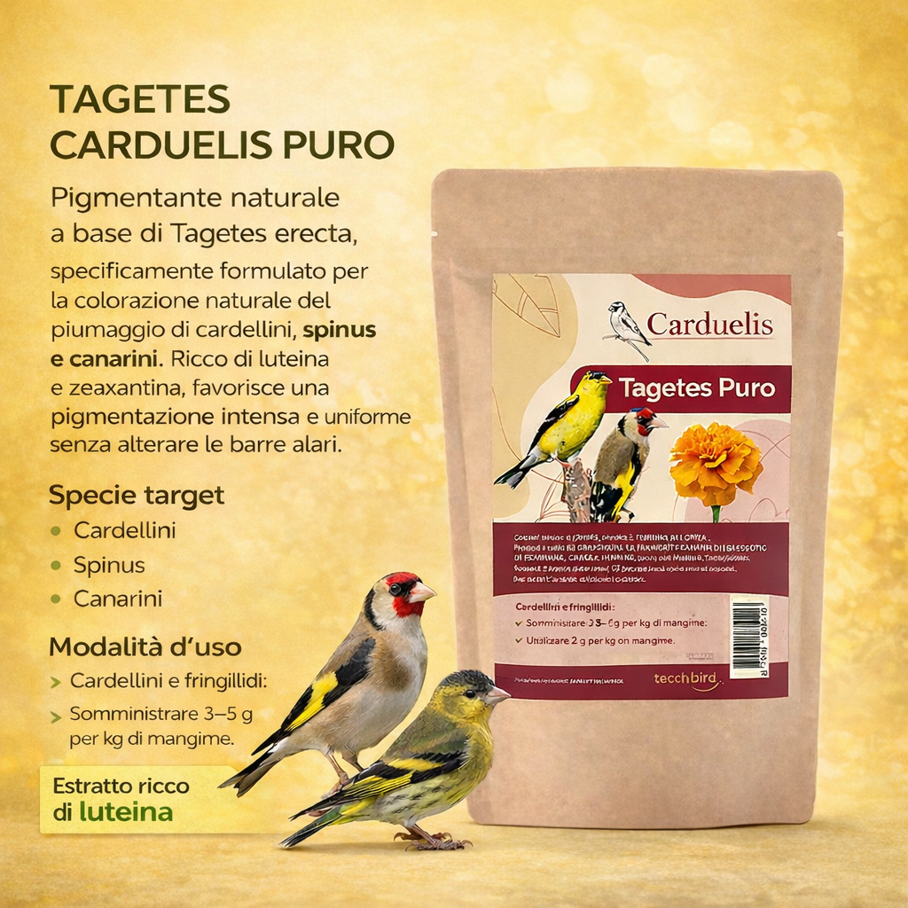 TAGETES PURO (100 GR)