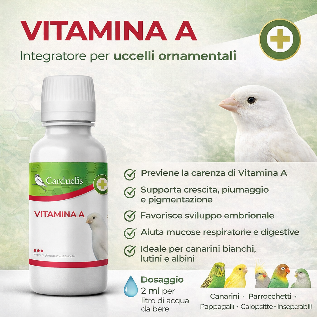 VITAMINA A (LIQUIDA, 100 ML)