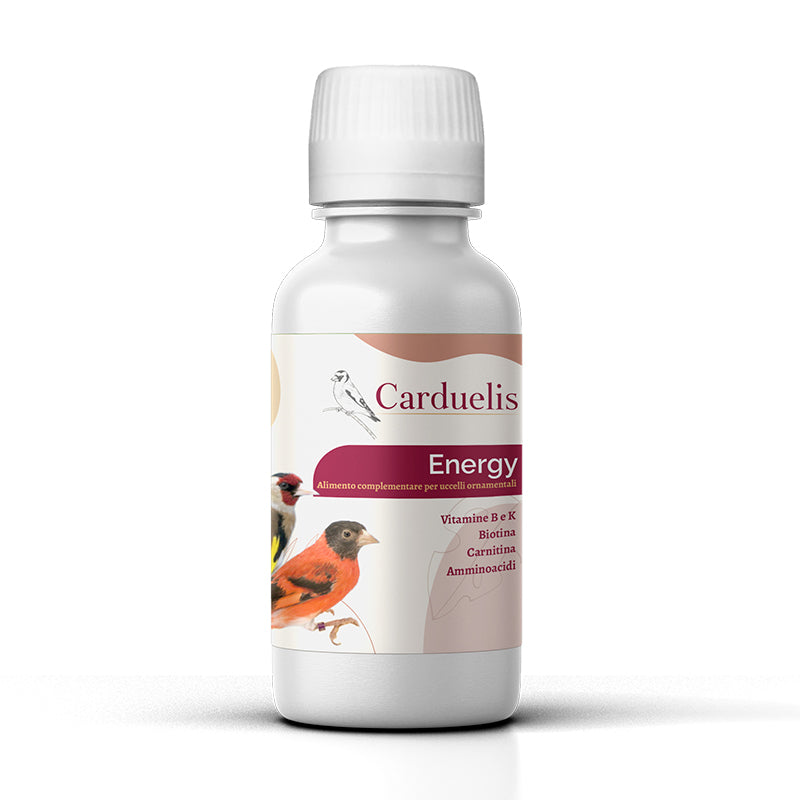 ENERGY (100 ML)