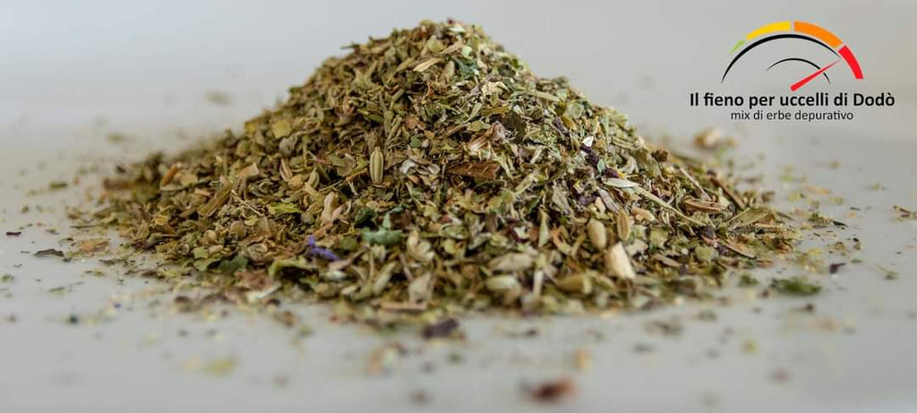 FIENO PER UCCELLI DI DODO' (250/500 GR)