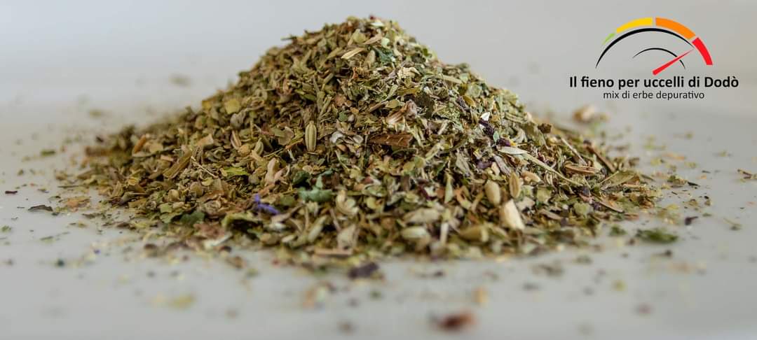 FIENO PER UCCELLI DI DODO' (250/500 GR)