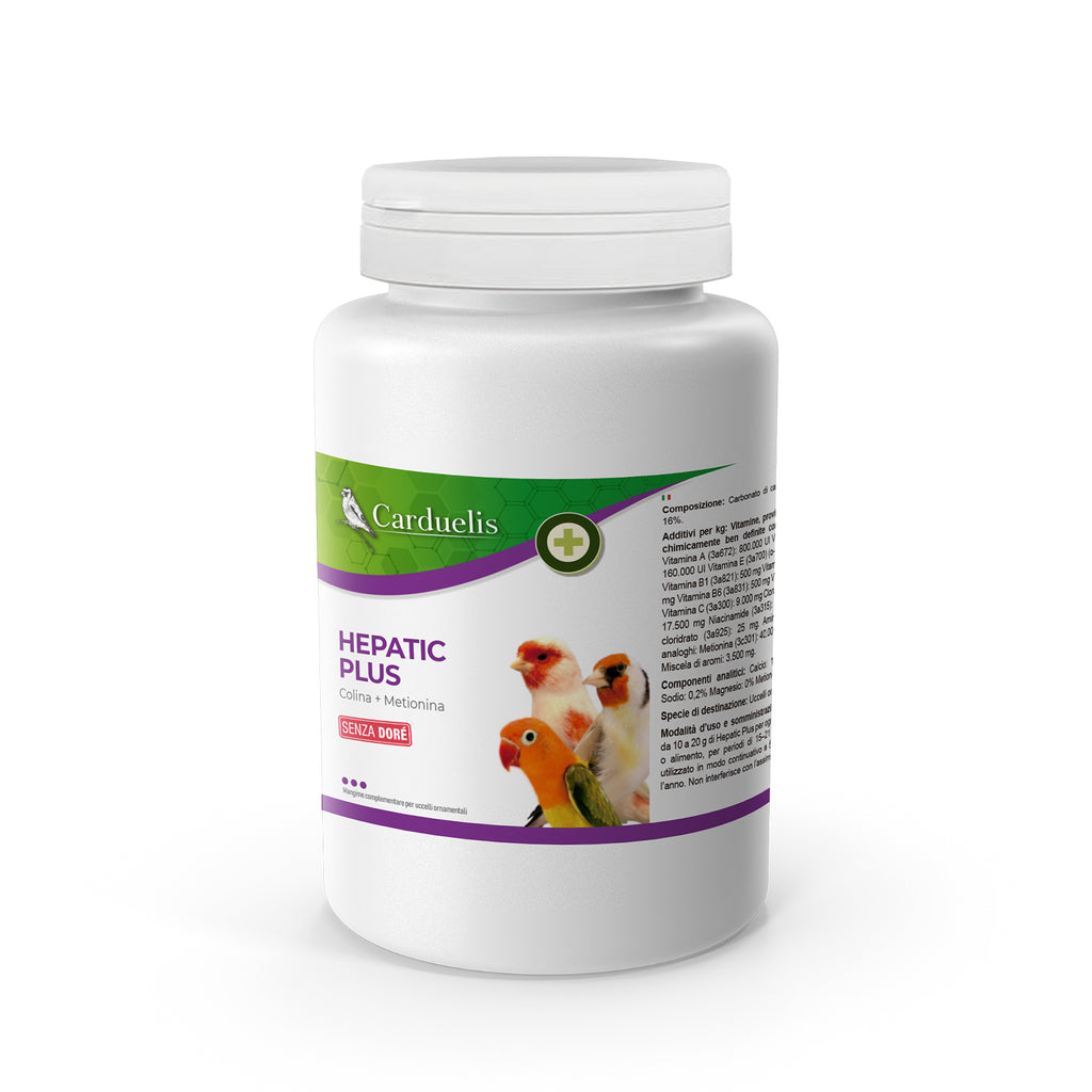 HEPATIC PLUS (500 GRAMMES)