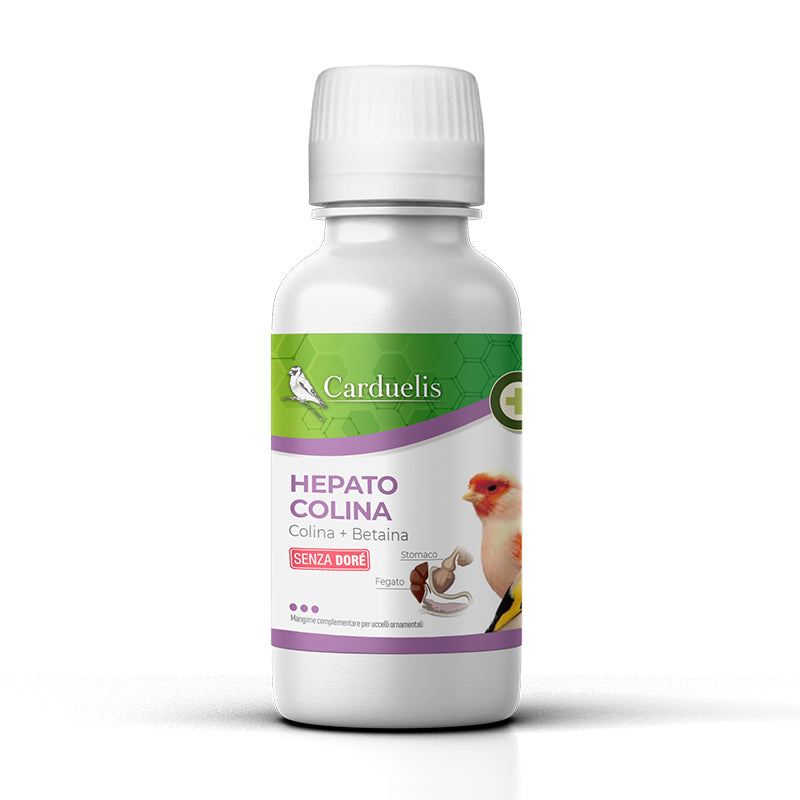 HEPATO COLINA (100 ml)