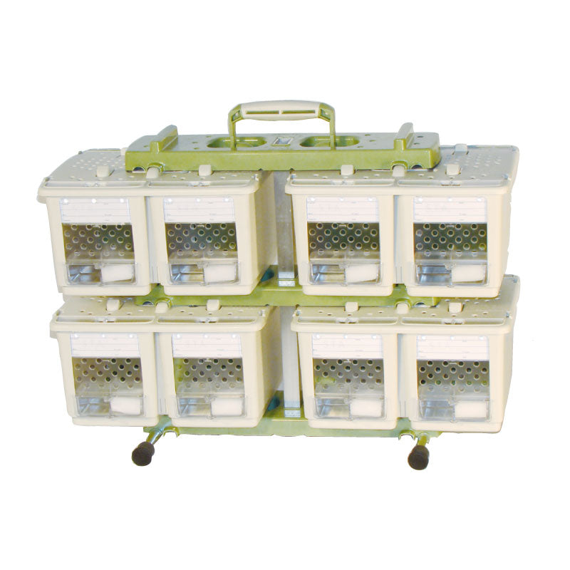 NUVOLA 8 STA TRASPORTINO