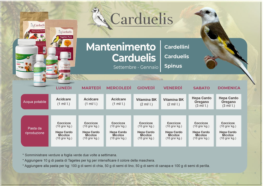 KIT MANTENIMENTO CARDELLINI CARDUELIS/AVIANVET