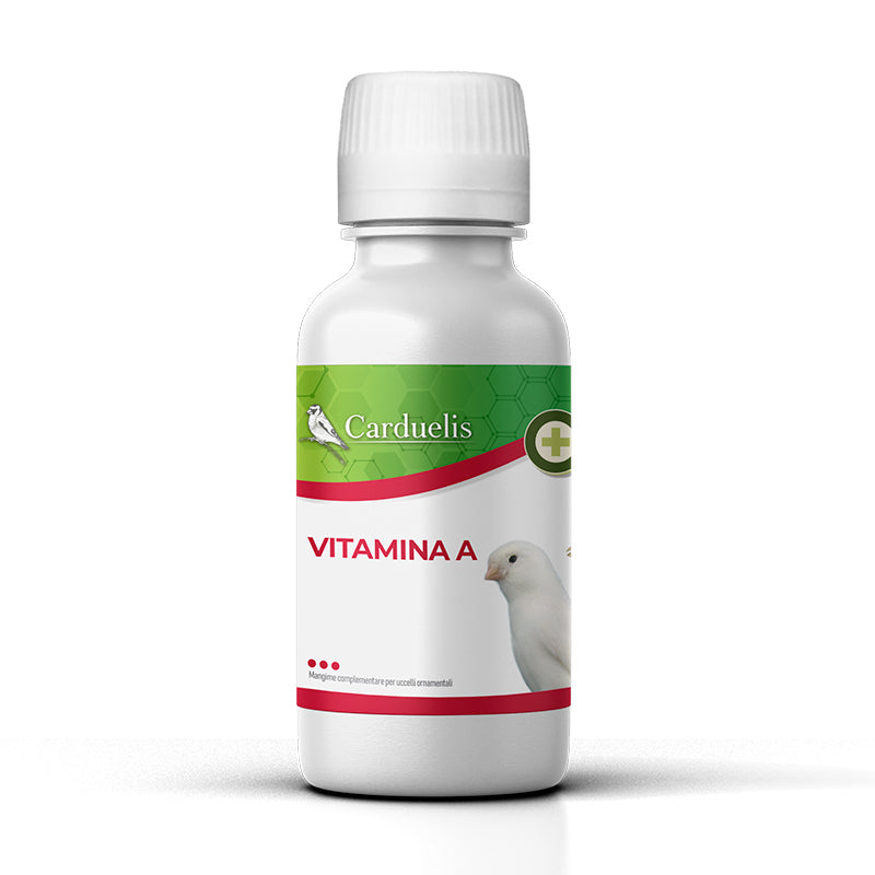 VITAMINA A (LIQUIDA, 100 ML)