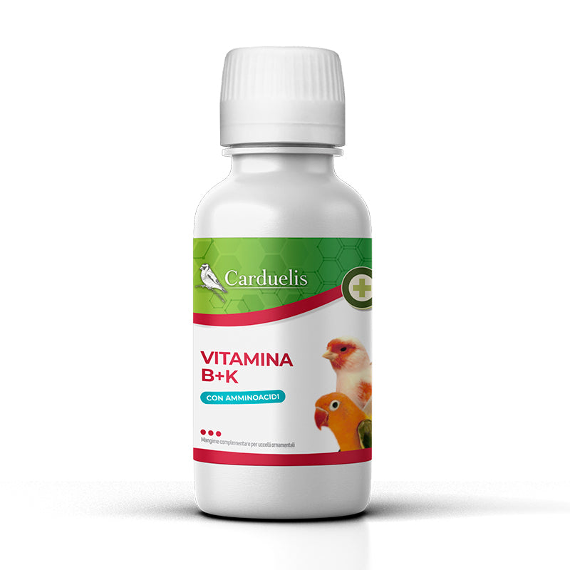 VITAMINA B + K (100 ML)