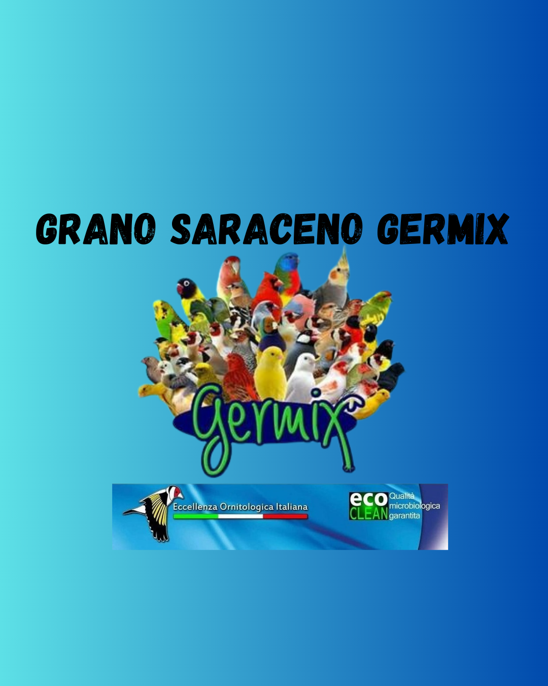 GRANO SARACENO GERMIX (1 Kg)