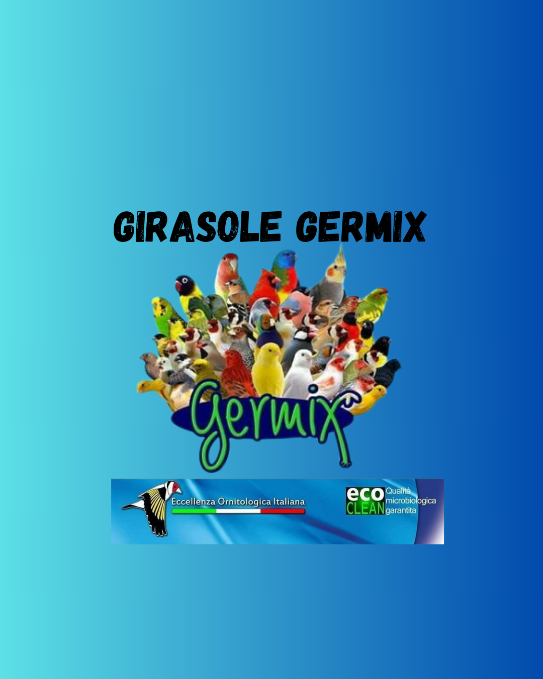 GIRASOLE GERMIX (1 Kg)
