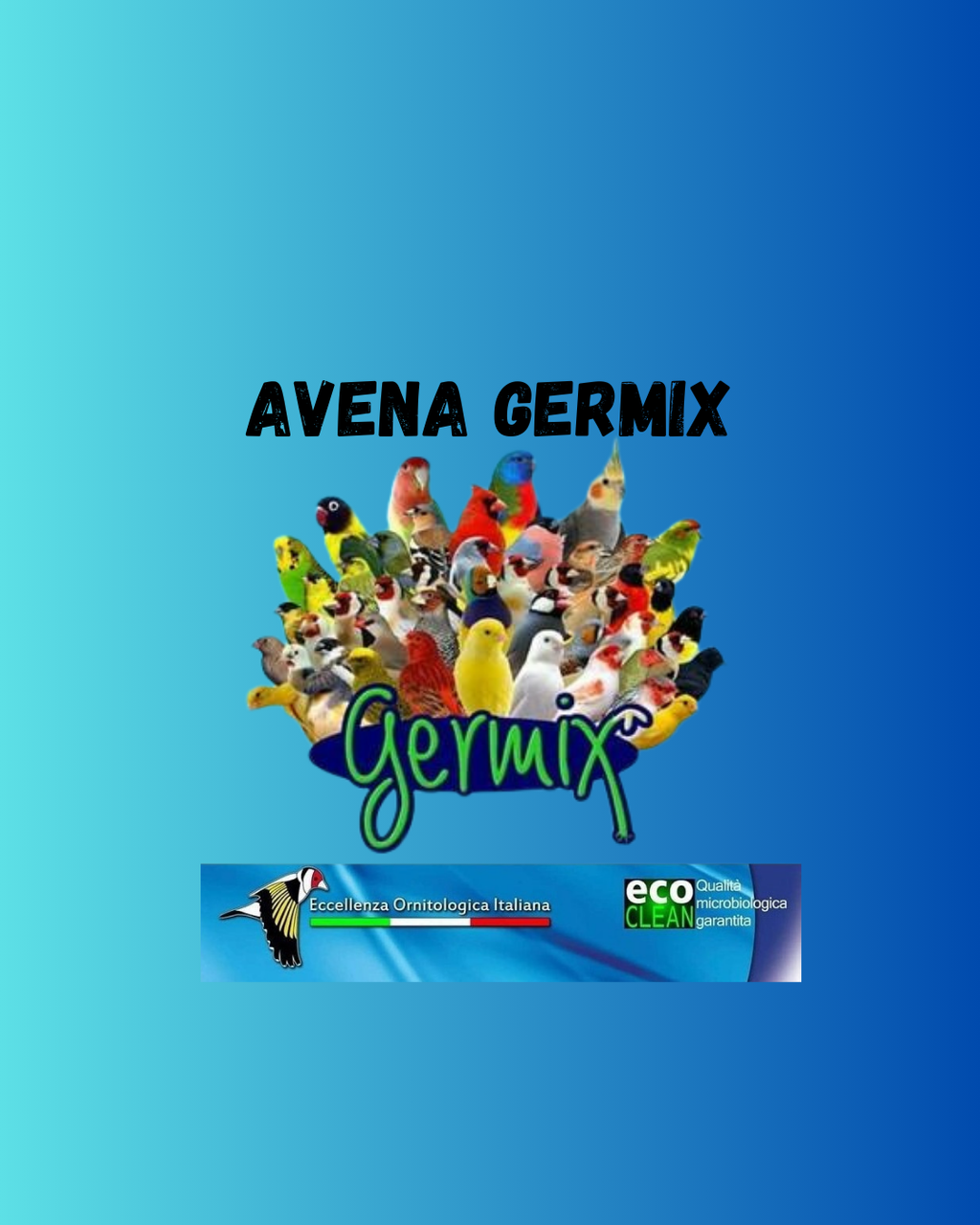 GERMIX OATS (1 Kg)