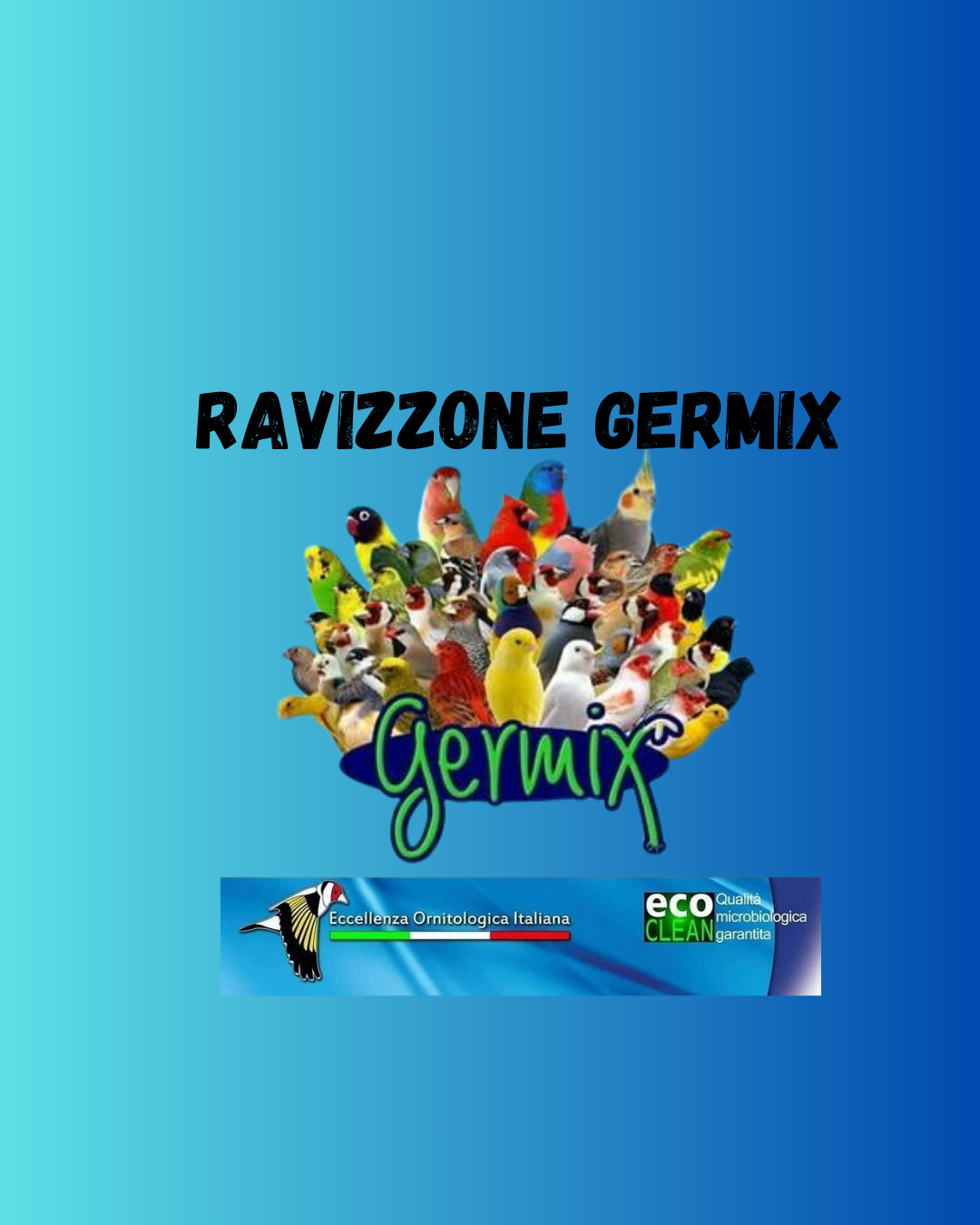 RAVIZZONE GERMIX 1 KG