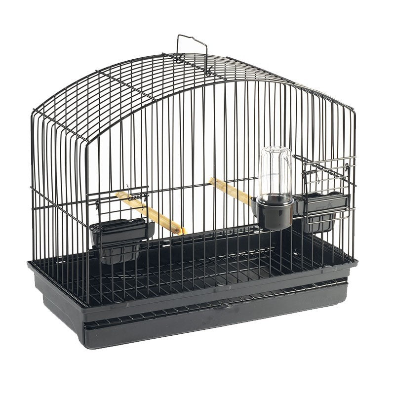 GABBIA ESPOSIZIONE BORDER