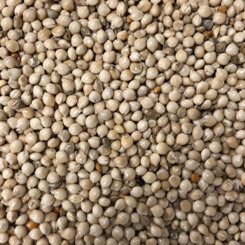 GERMIX ESOTICI (1 Kg/4Kg)