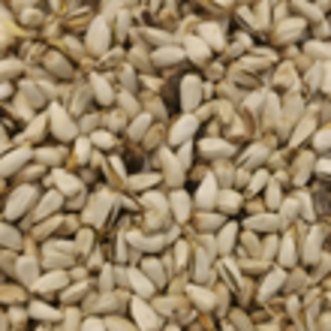 CARTAMO GERMIX (1Kg)