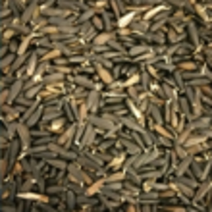 GIRASOLE GERMIX (1 Kg)
