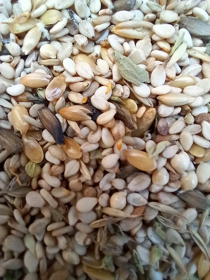 MUTA GERMIX, FORMULA UNICA PER TUTTE LE RAZZE