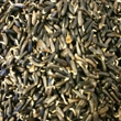 GERMIX NIGER (1 kg)