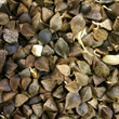 GRANO SARACENO GERMIX (1 Kg)