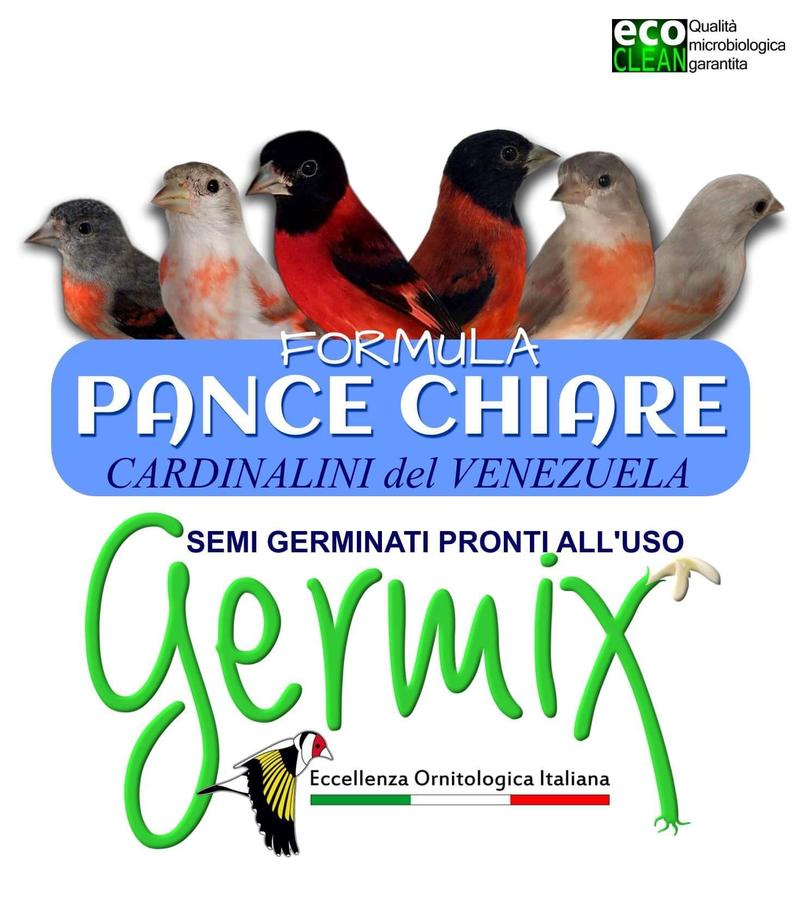 GERMIX CARDINALINI PANCE CHIARE (busta 4 Kg)