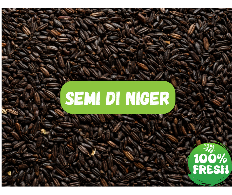 SEMI DI NIGER (1 Kg)