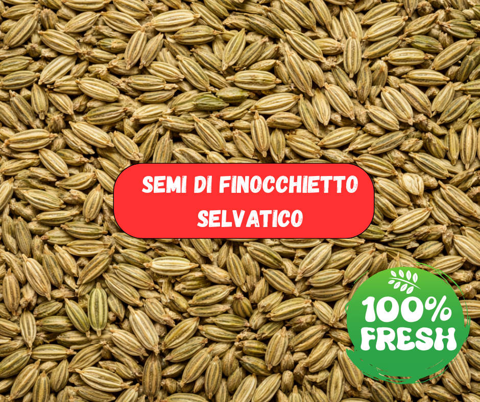 SEMI DI FINOCCHIETTO SELVATICO (1 Kg)