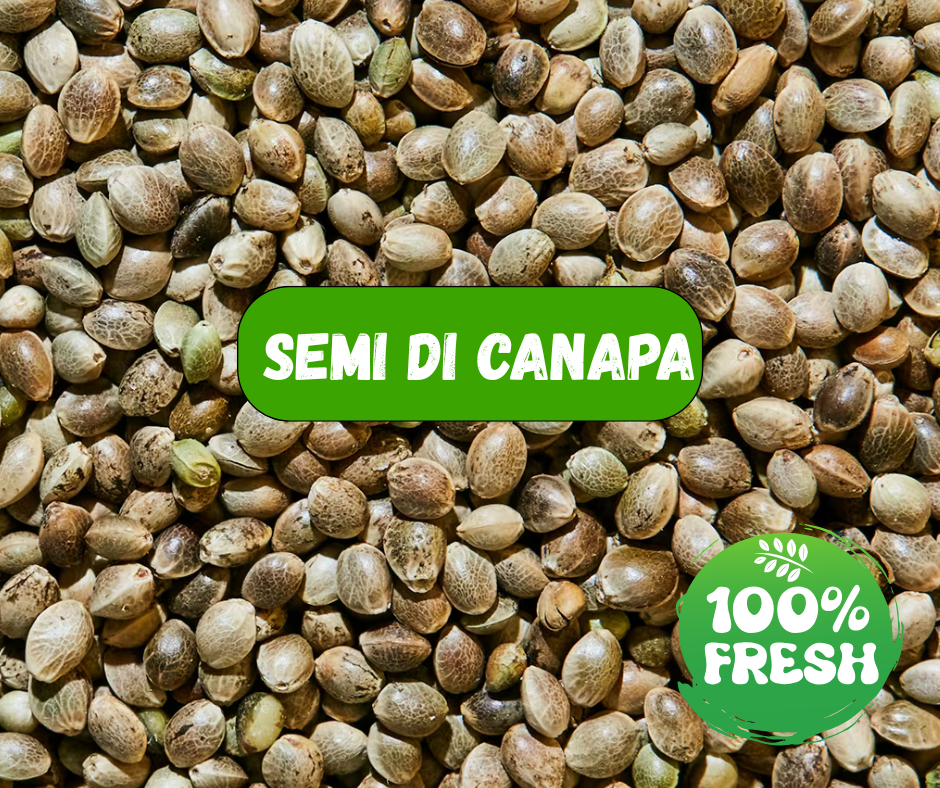 SEMI DI CANAPA (1 Kg)