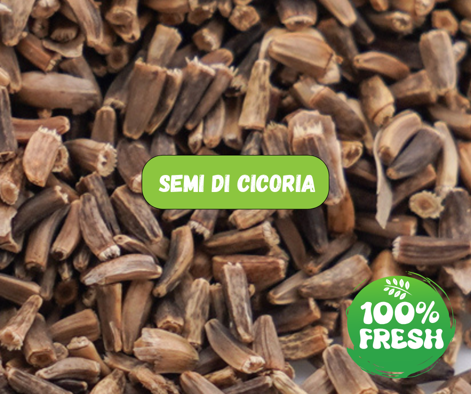 SEMI DI CICORIA (1 Kg)