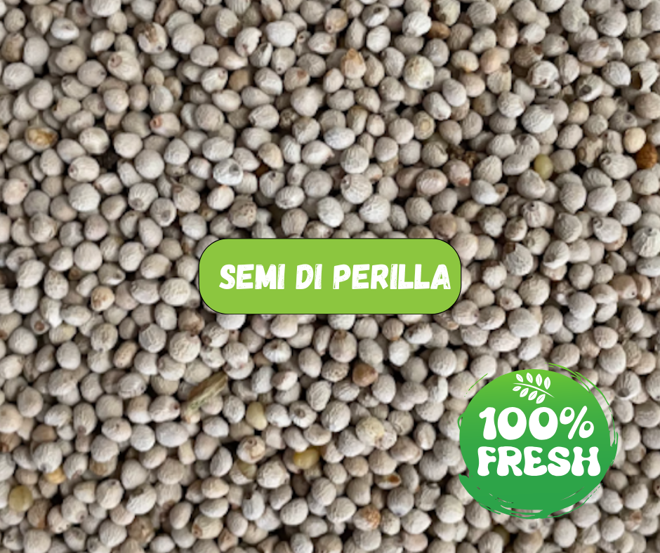 SEMI DI PERILLA (1 Kg)